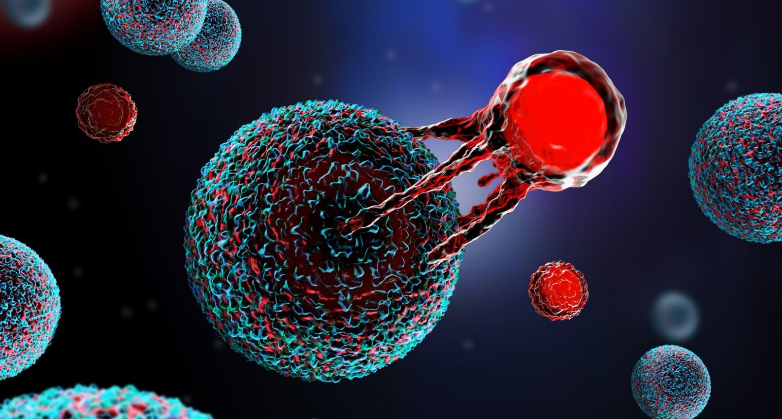 Car T Cell Therapy